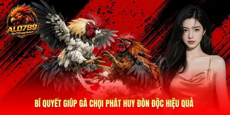 Bí quyết giúp gà chọi phát huy đòn độc hiệu quả 